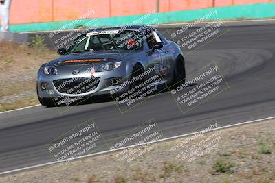 media/May-04-2024-Lucky Dog Racing (Sat) [[d39539b3f3]]/Practice I Qualifying (Turn 4a)/